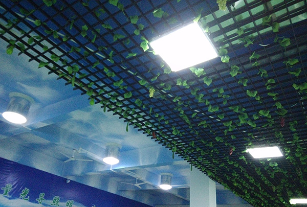 正能量科技中心应用自然光照明系统